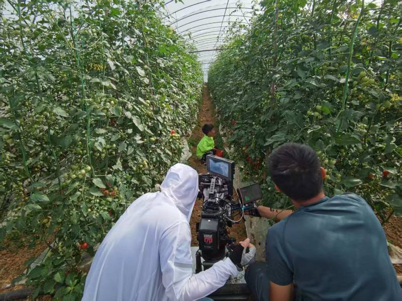 黄石产品宣传视频拍摄公司进阶指南，助力品牌抢占传播高地